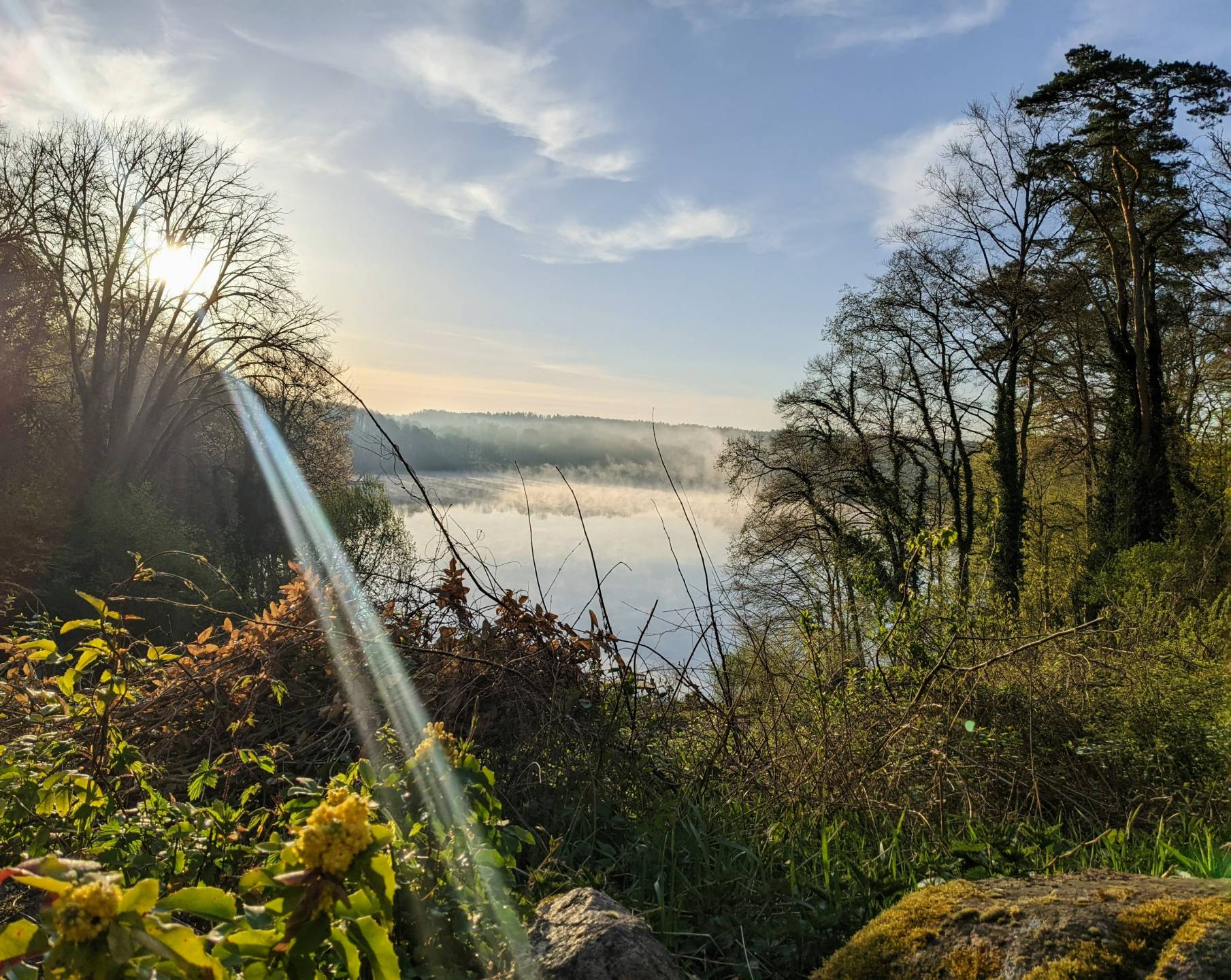 Misty lake framed by trees at the Sacred Healing Place of Chorin